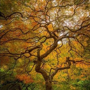 Meet your Posher, Vicki